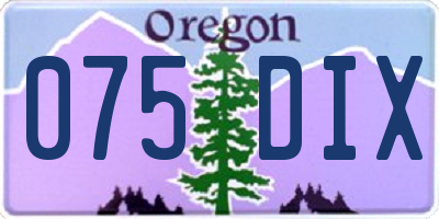 OR license plate 075DIX