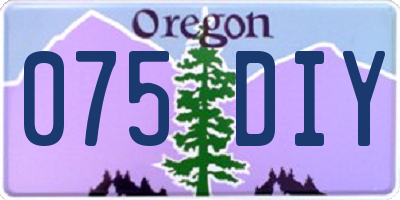 OR license plate 075DIY