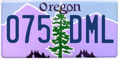 OR license plate 075DML