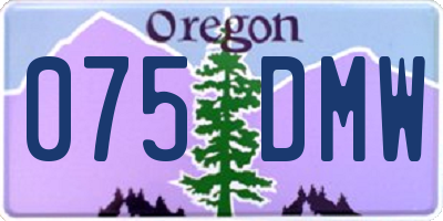 OR license plate 075DMW