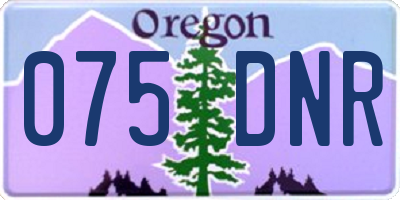 OR license plate 075DNR