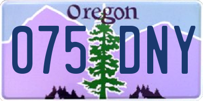 OR license plate 075DNY