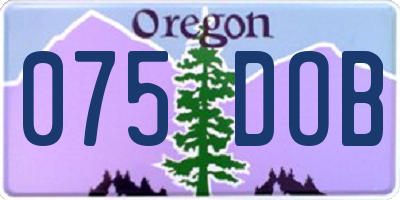 OR license plate 075DOB
