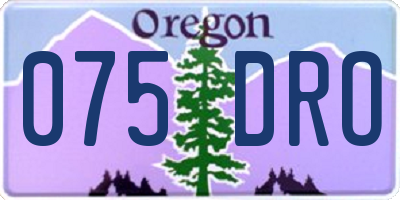 OR license plate 075DRO
