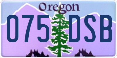OR license plate 075DSB