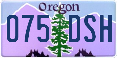 OR license plate 075DSH