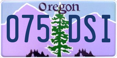 OR license plate 075DSI
