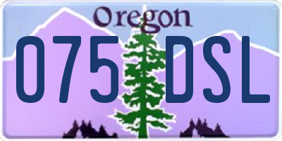 OR license plate 075DSL