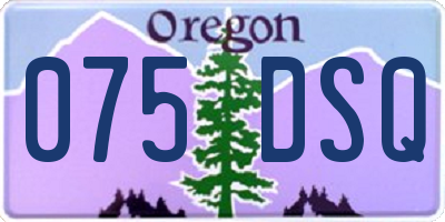 OR license plate 075DSQ