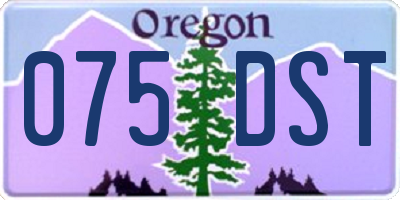 OR license plate 075DST