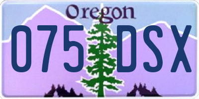 OR license plate 075DSX