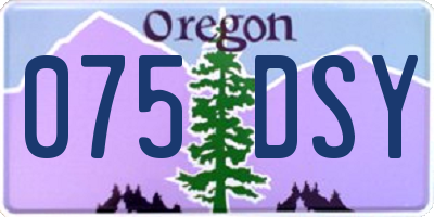 OR license plate 075DSY