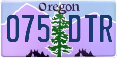 OR license plate 075DTR