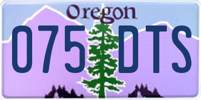 OR license plate 075DTS