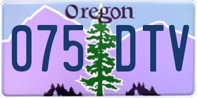 OR license plate 075DTV
