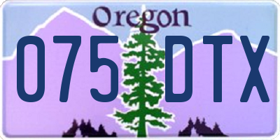OR license plate 075DTX