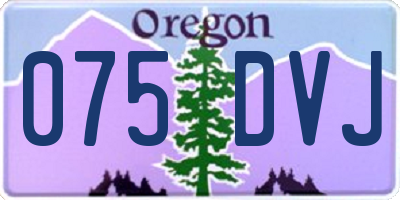 OR license plate 075DVJ