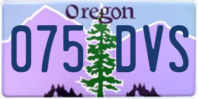 OR license plate 075DVS