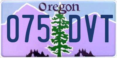 OR license plate 075DVT
