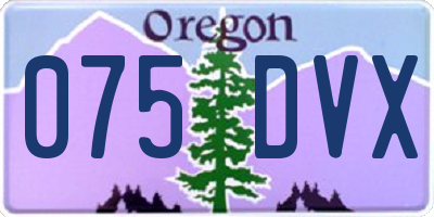 OR license plate 075DVX