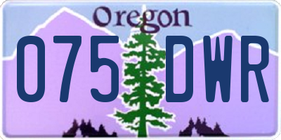 OR license plate 075DWR
