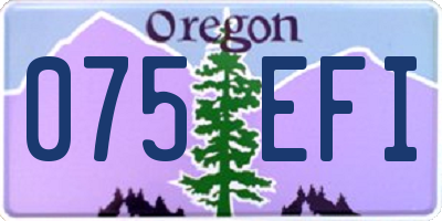 OR license plate 075EFI