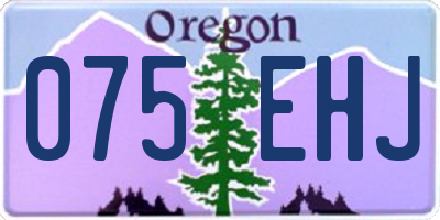OR license plate 075EHJ