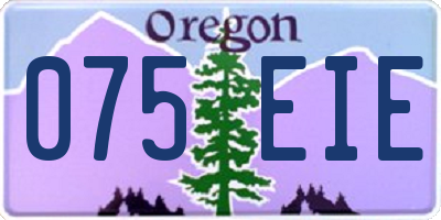 OR license plate 075EIE