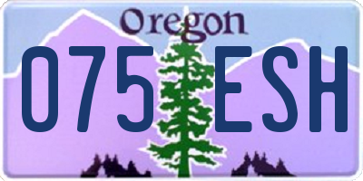 OR license plate 075ESH