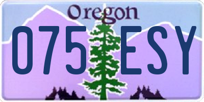 OR license plate 075ESY