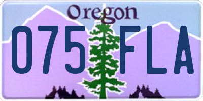 OR license plate 075FLA