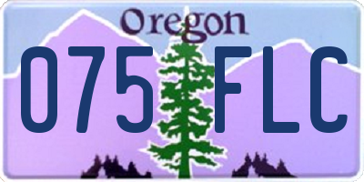 OR license plate 075FLC