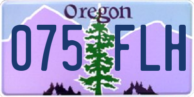OR license plate 075FLH