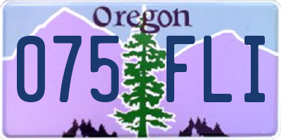 OR license plate 075FLI
