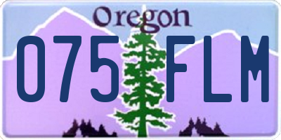 OR license plate 075FLM
