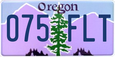 OR license plate 075FLT