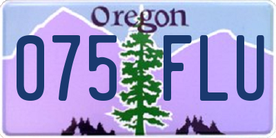 OR license plate 075FLU