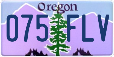 OR license plate 075FLV