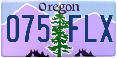 OR license plate 075FLX
