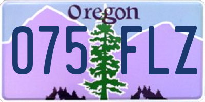OR license plate 075FLZ