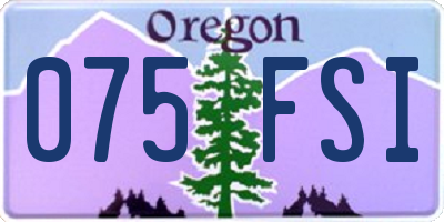 OR license plate 075FSI