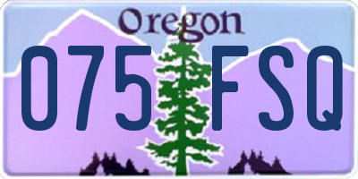 OR license plate 075FSQ