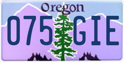 OR license plate 075GIE
