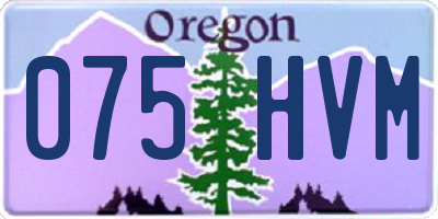 OR license plate 075HVM