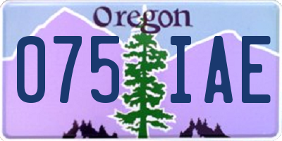 OR license plate 075IAE