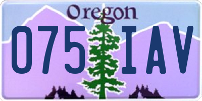 OR license plate 075IAV