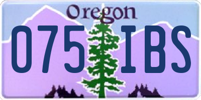 OR license plate 075IBS