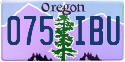 OR license plate 075IBU