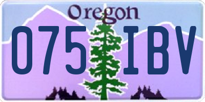 OR license plate 075IBV