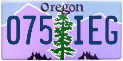 OR license plate 075IEG